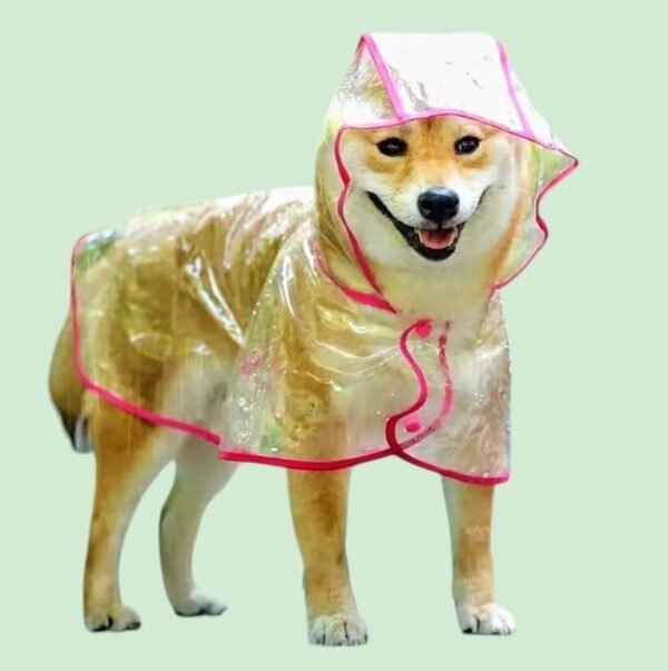 Chubasquero Transparente Con Capucha Talla M