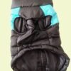 Abrigo Impermeable Perro Negro/Azul Talla M