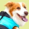 Abrigo Impermeable Perro Negro/Azul Talla M