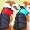 Abrigo Impermeable Perro Negro/Rosa Talla M