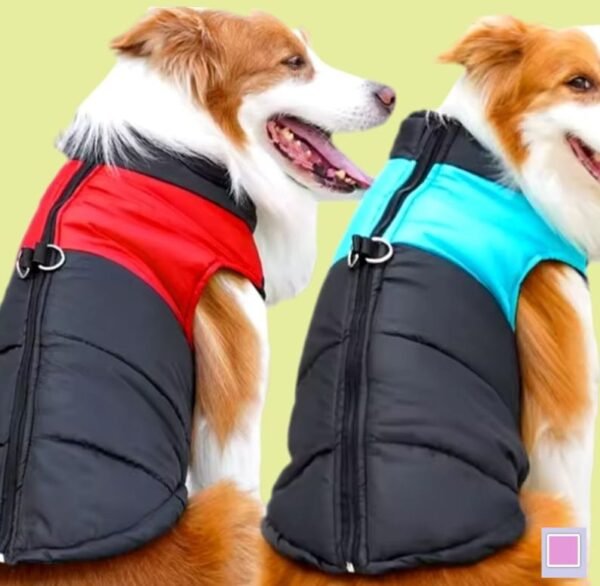 Abrigo Impermeable Perro Negro/Rosa Talla M